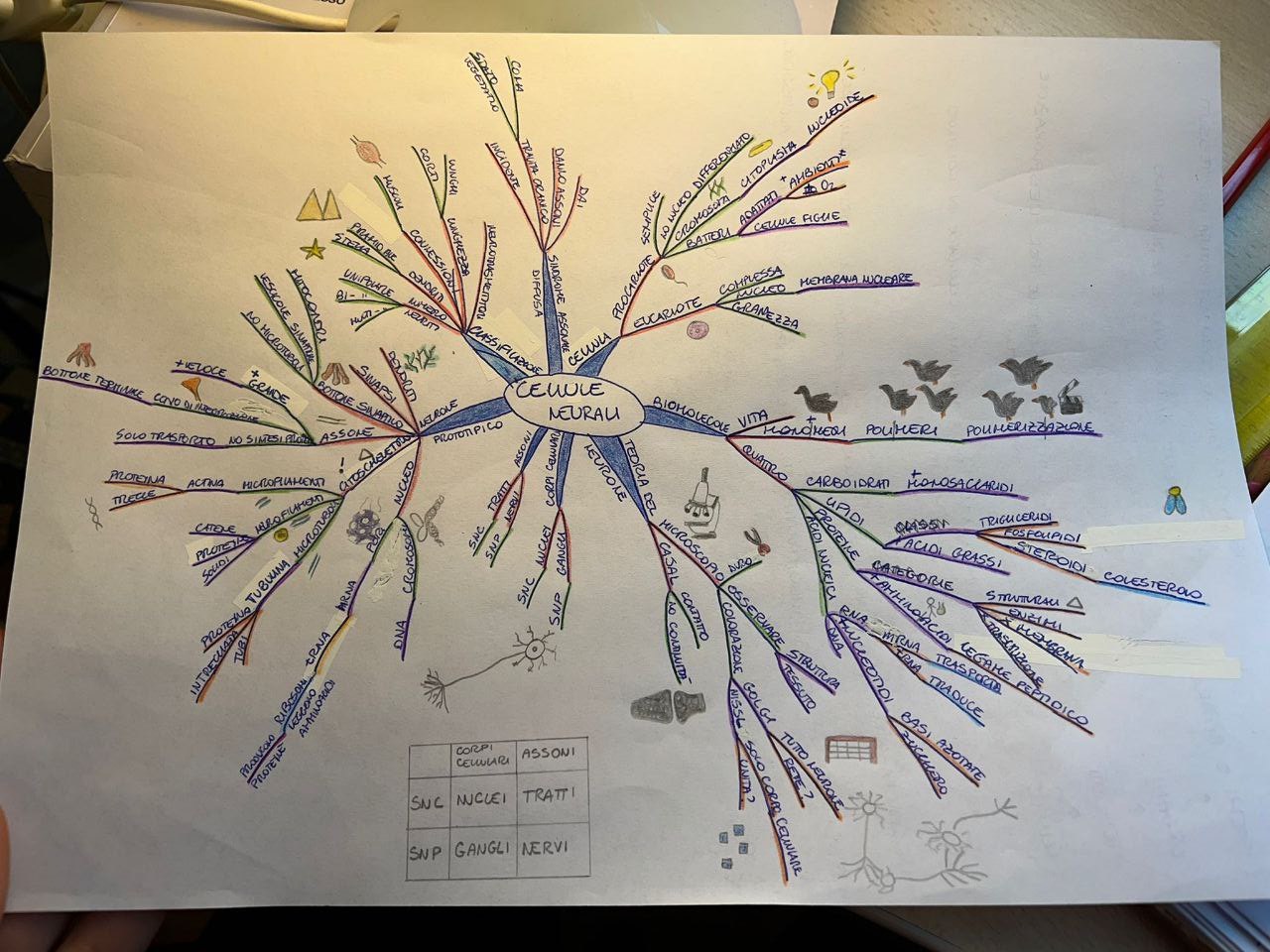 Le Mappe Mentali: Una Rivoluzione nel Modo di Apprendere e Pensare