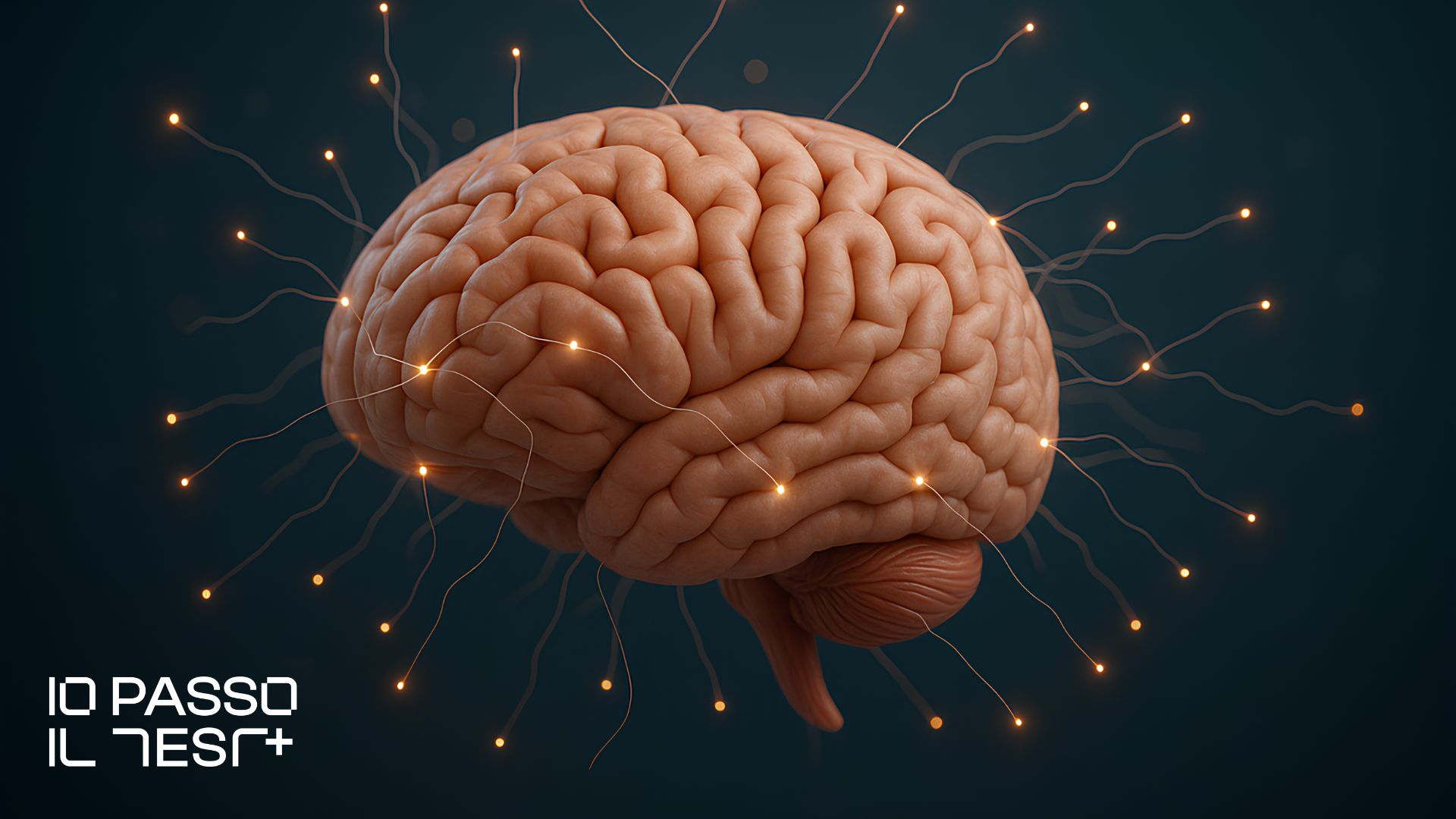 Spaced Repetition e Active Recall - metodo di studio scientifico