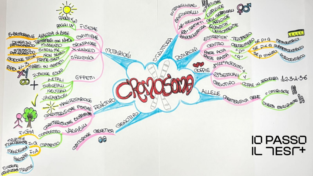 Mappe mentali colorate metodo Tony Buzan - esempio cliente Io Passo il Test